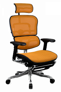 Эргономичное кресло Ergohuman Plus оранжевый