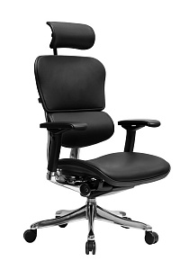 Эргономичное кресло Ergohuman Plus Luxury черный