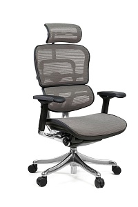 Эргономичное кресло Ergohuman Plus серый